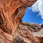 Beauty, Beauty Everywhere