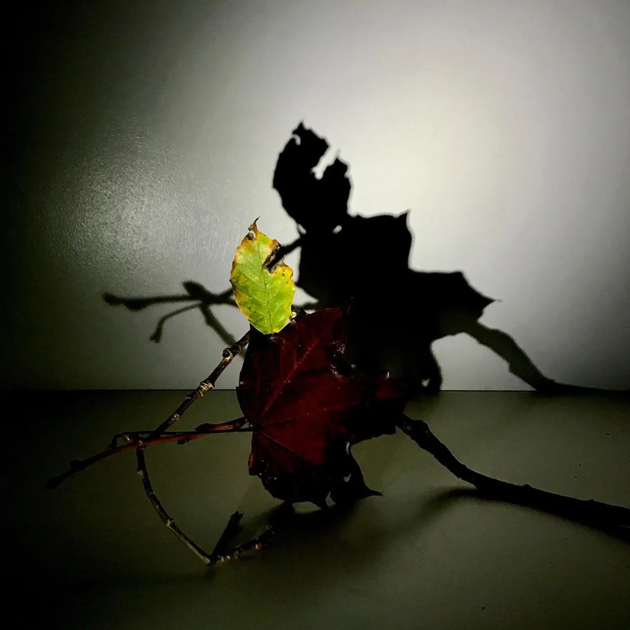Image 0 - Autumn