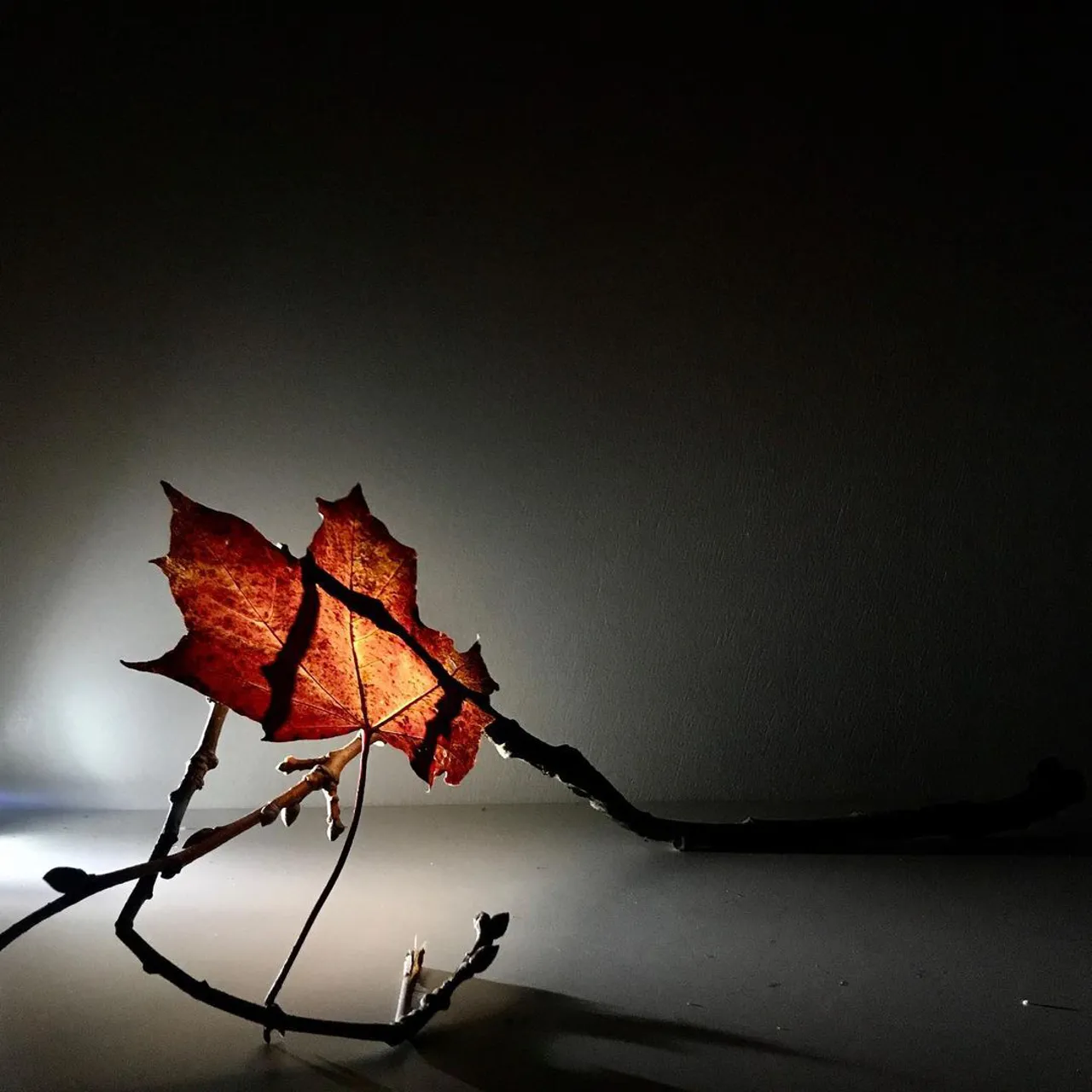 Image 1 - Autumn
