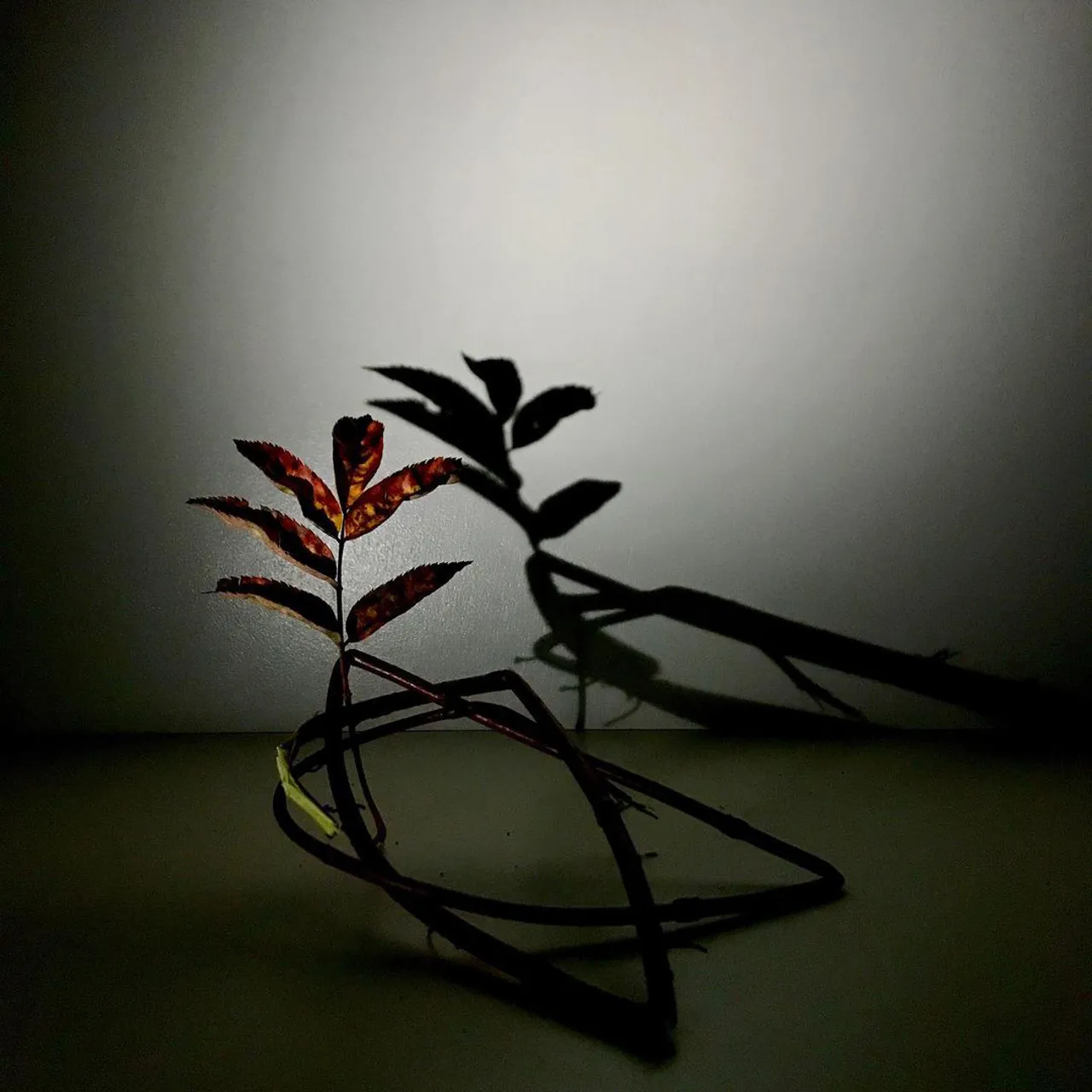 Image 17 - Autumn
