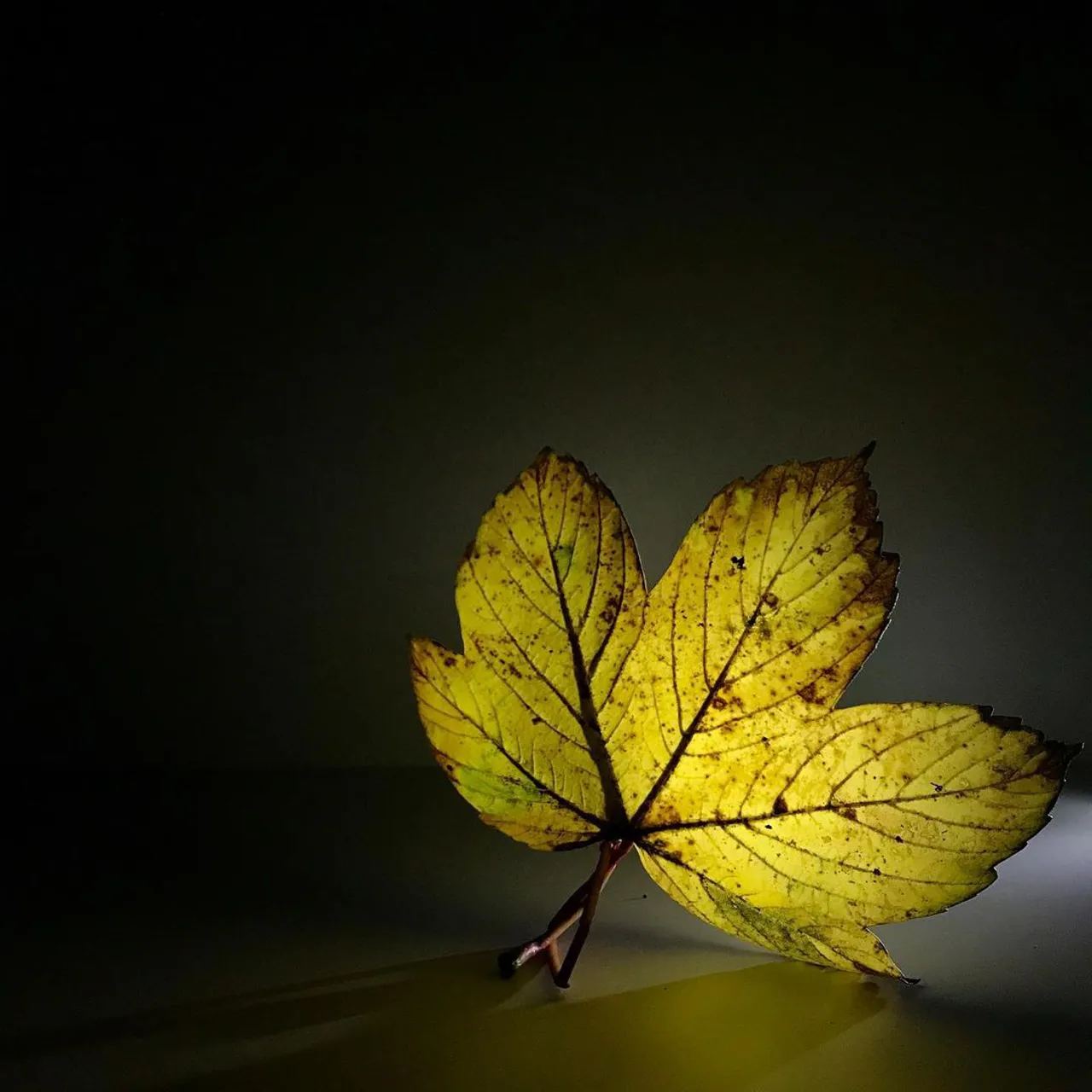 Image 19 - Autumn
