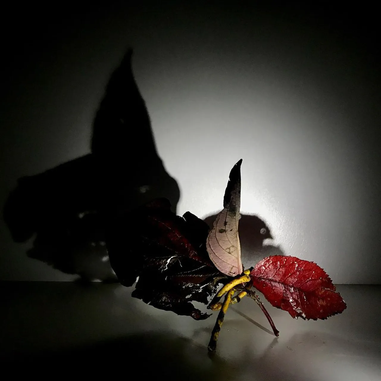Image 2 - Autumn