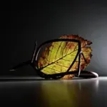 Image 20 - Autumn