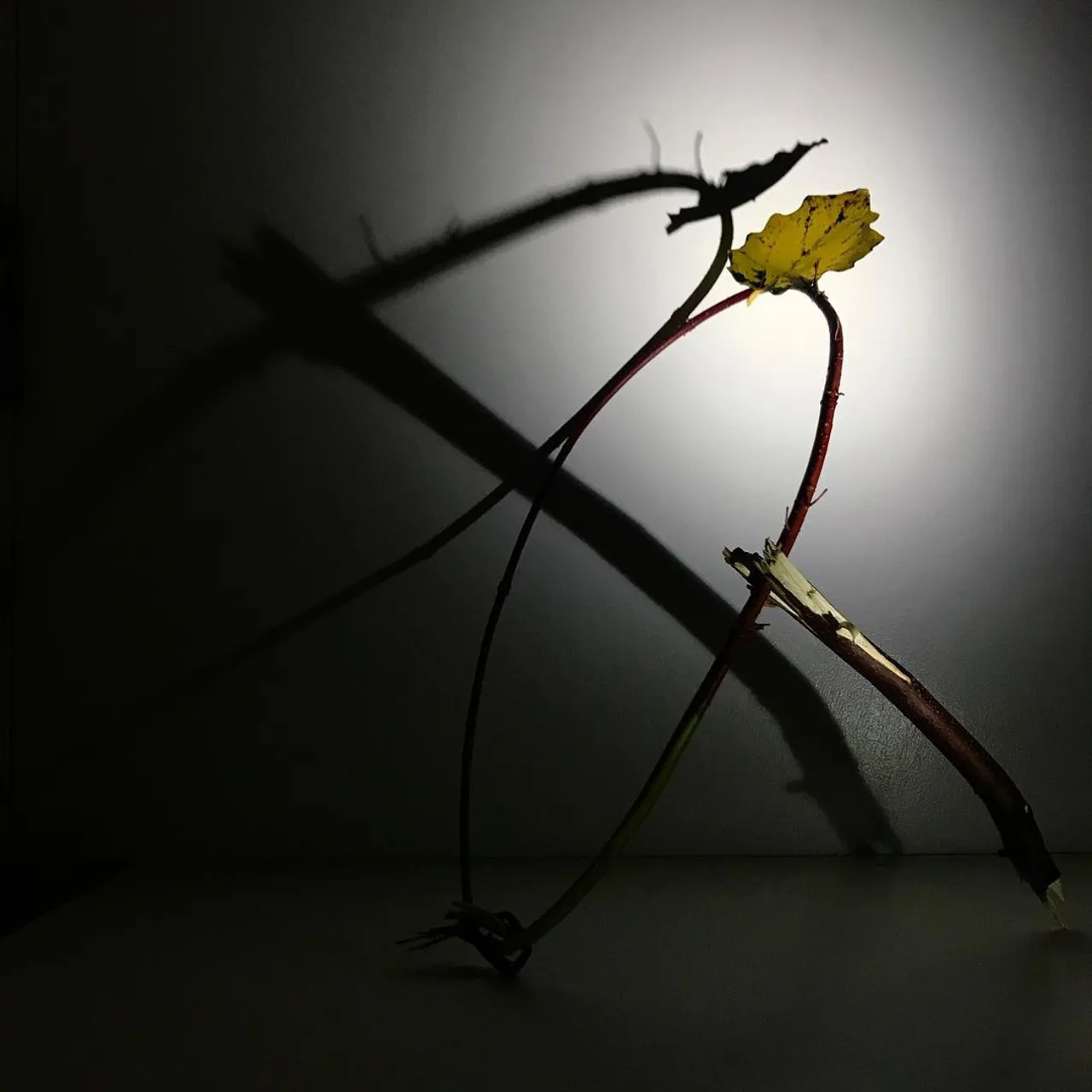 Image 22 - Autumn