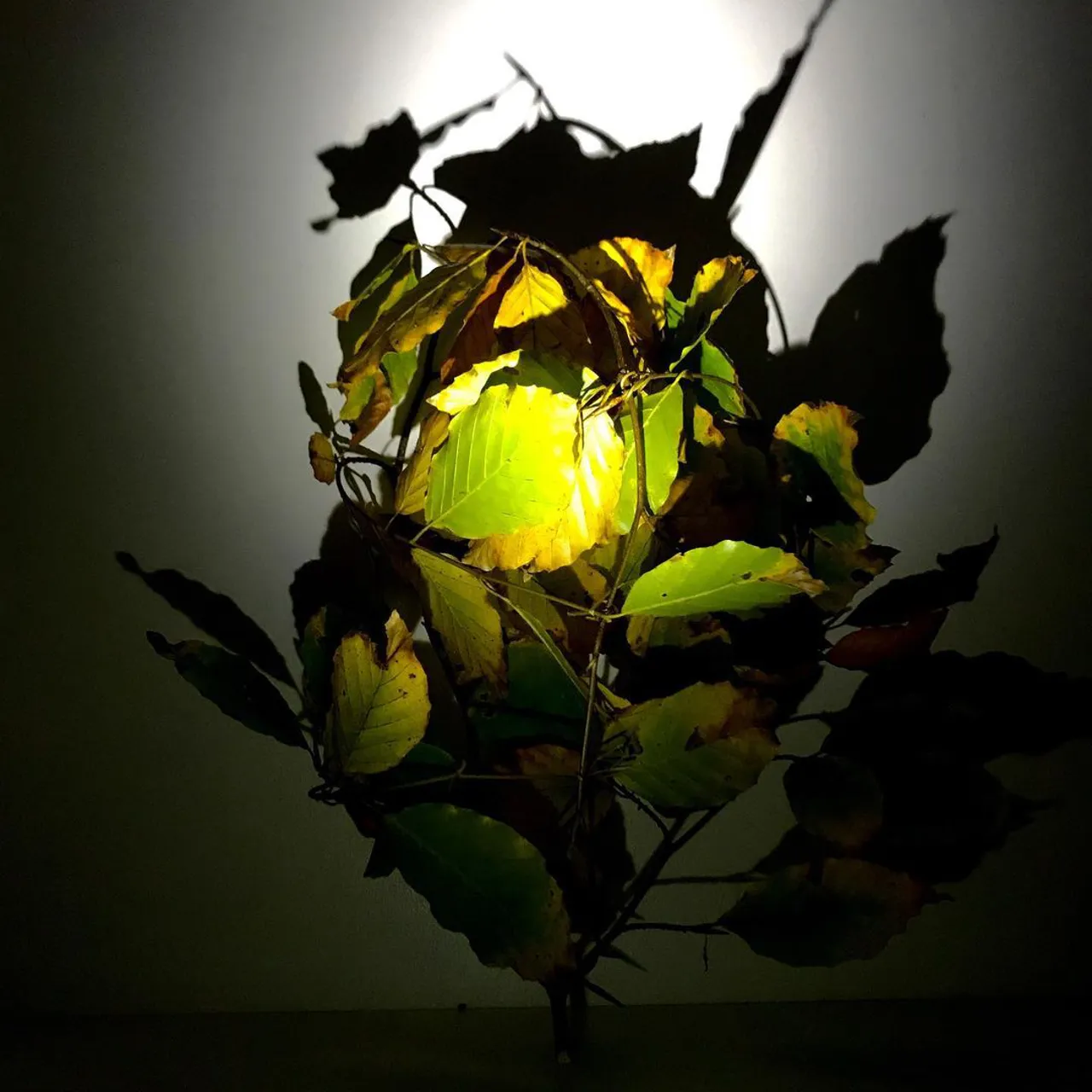 Image 25 - Autumn