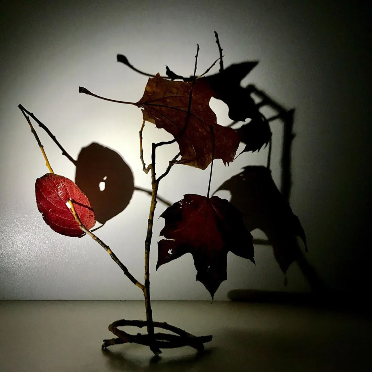 Image 28 - Autumn