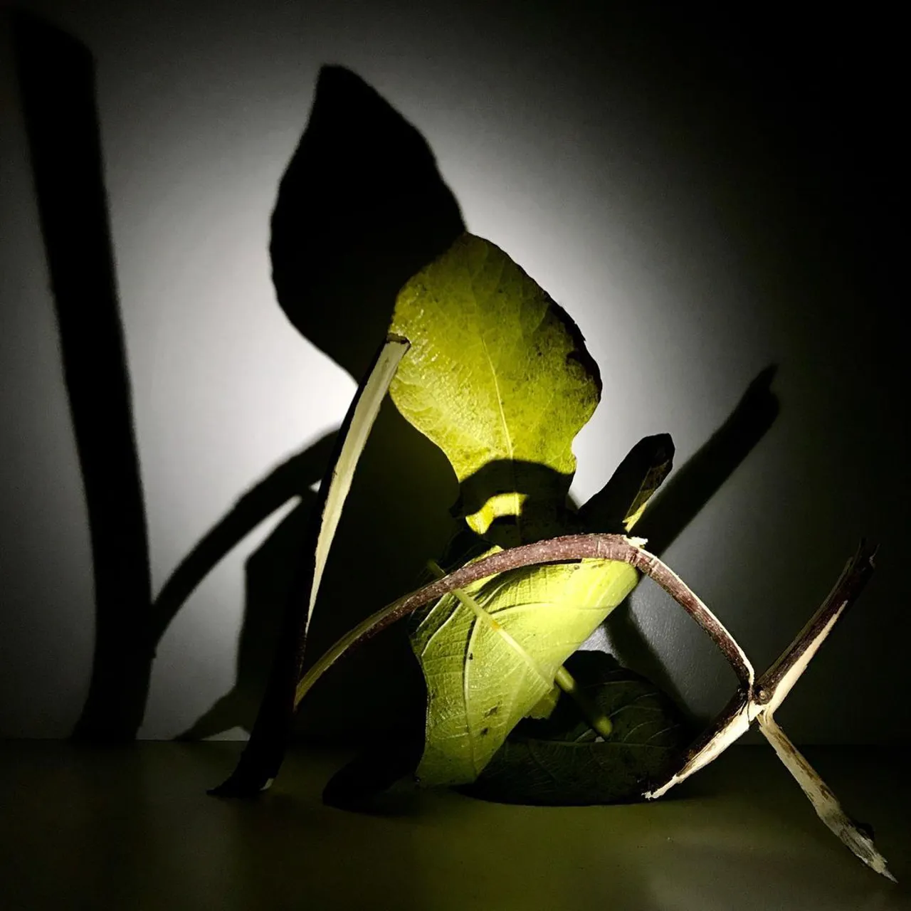 Image 31 - Autumn