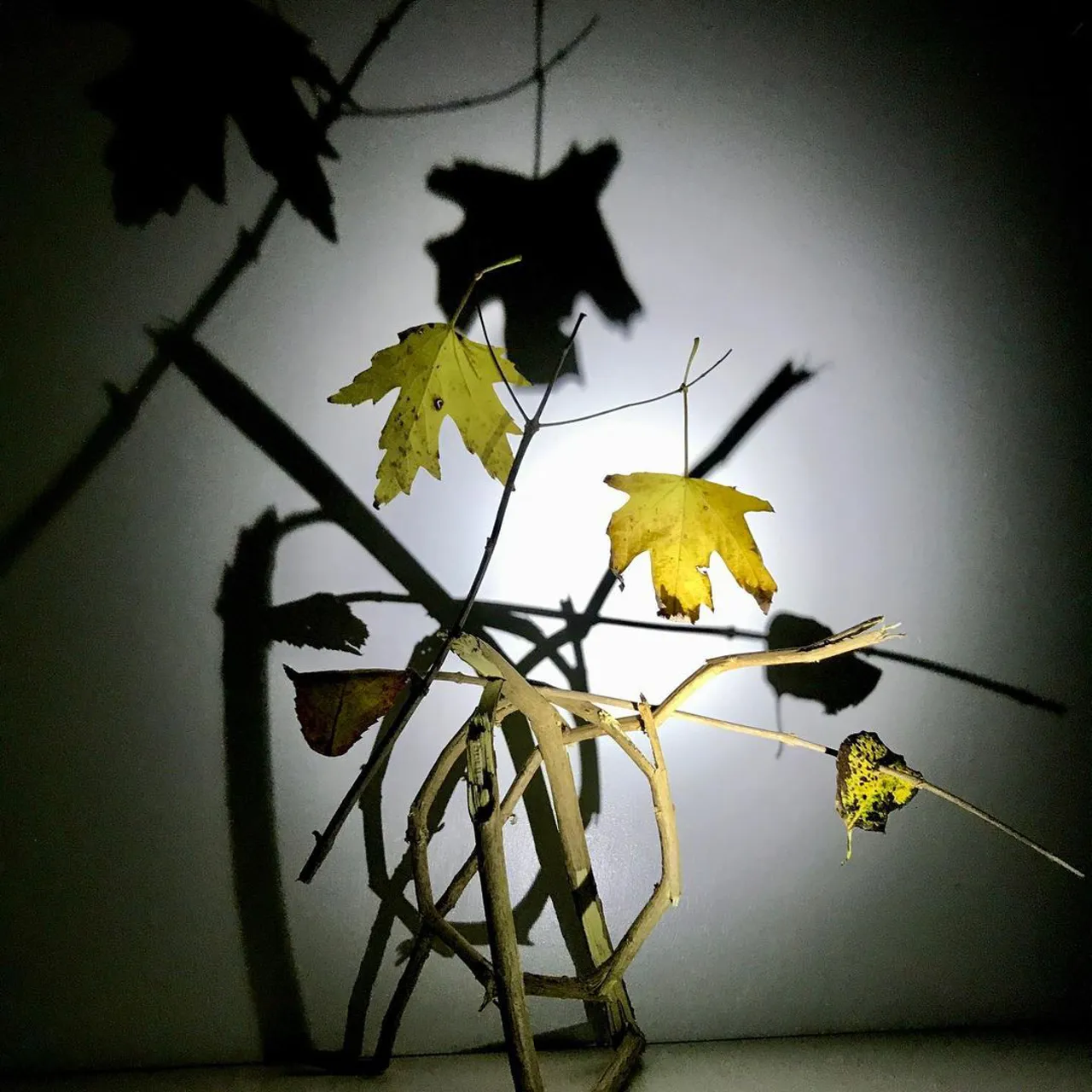 Image 4 - Autumn