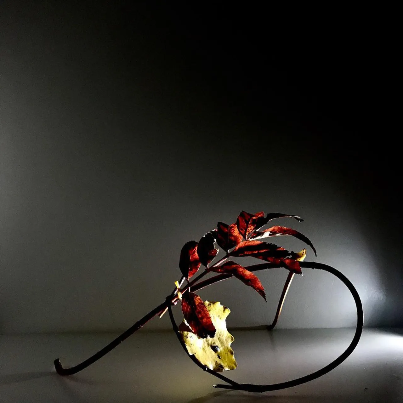 Image 7 - Autumn