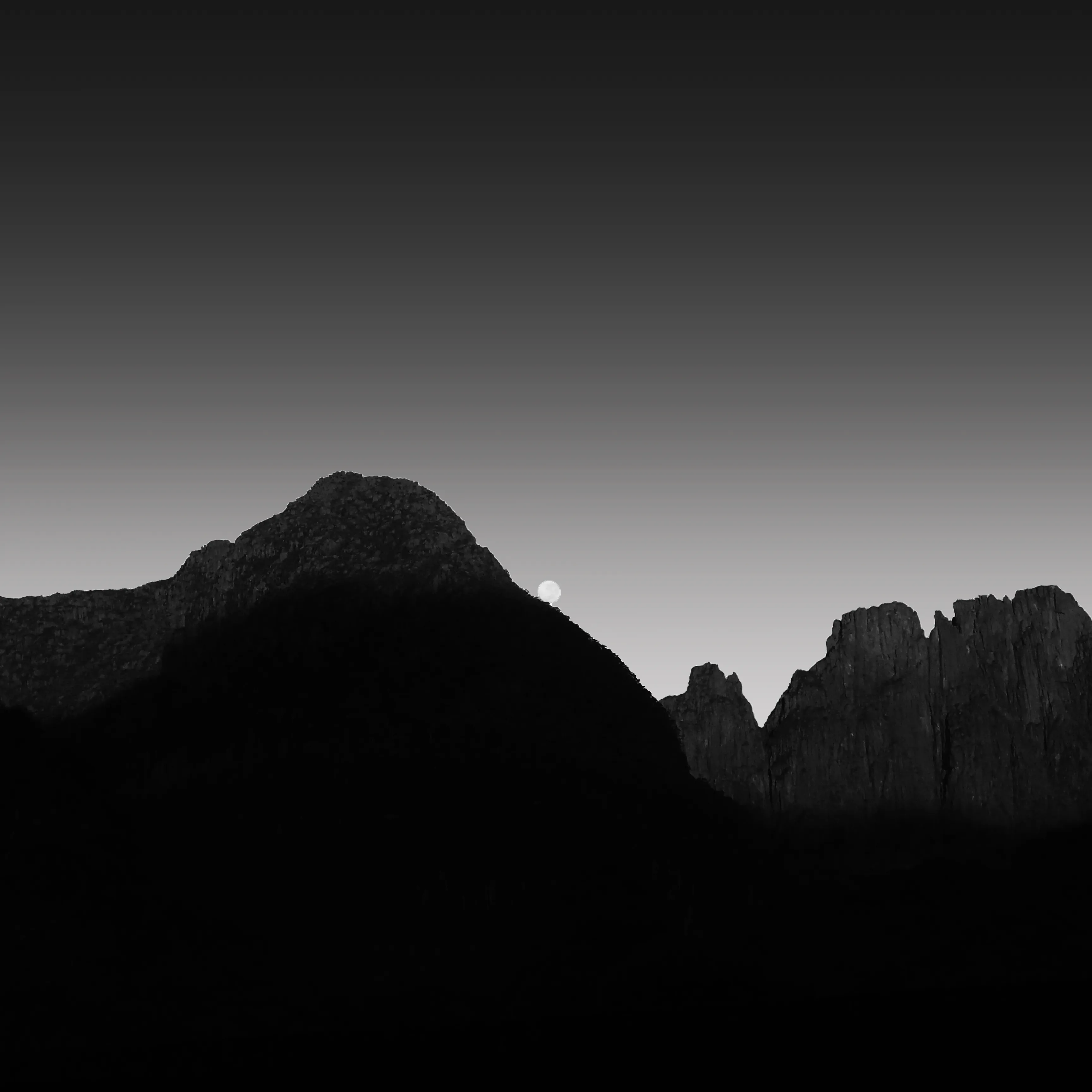 Image1 - Black & White