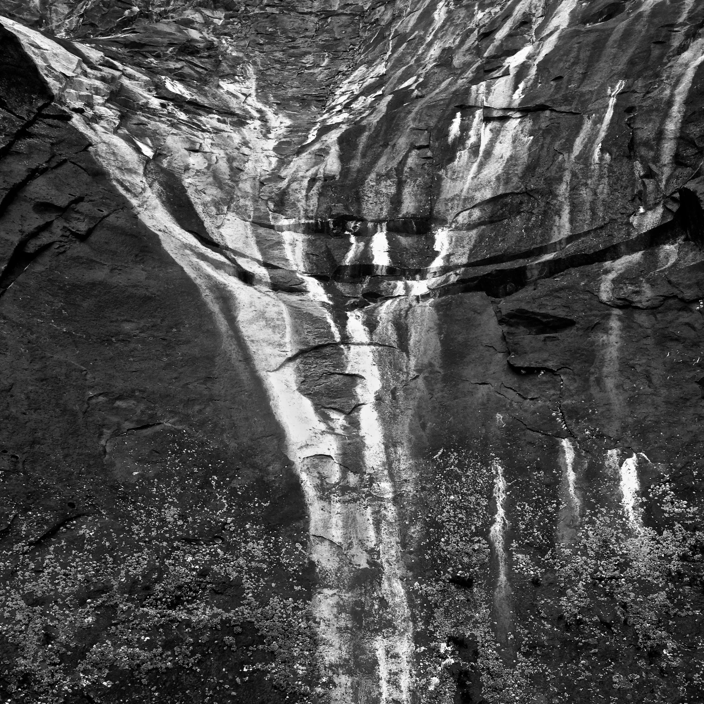 Image10 - Black & White