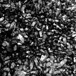 Image 11 - Black & White