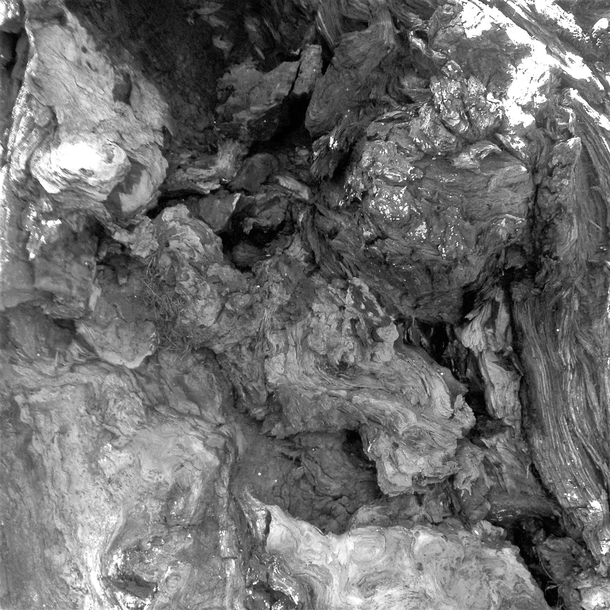 Image14 - Black & White
