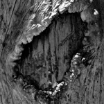 Image 18 - Black & White