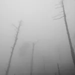 Image 24 - Black & White