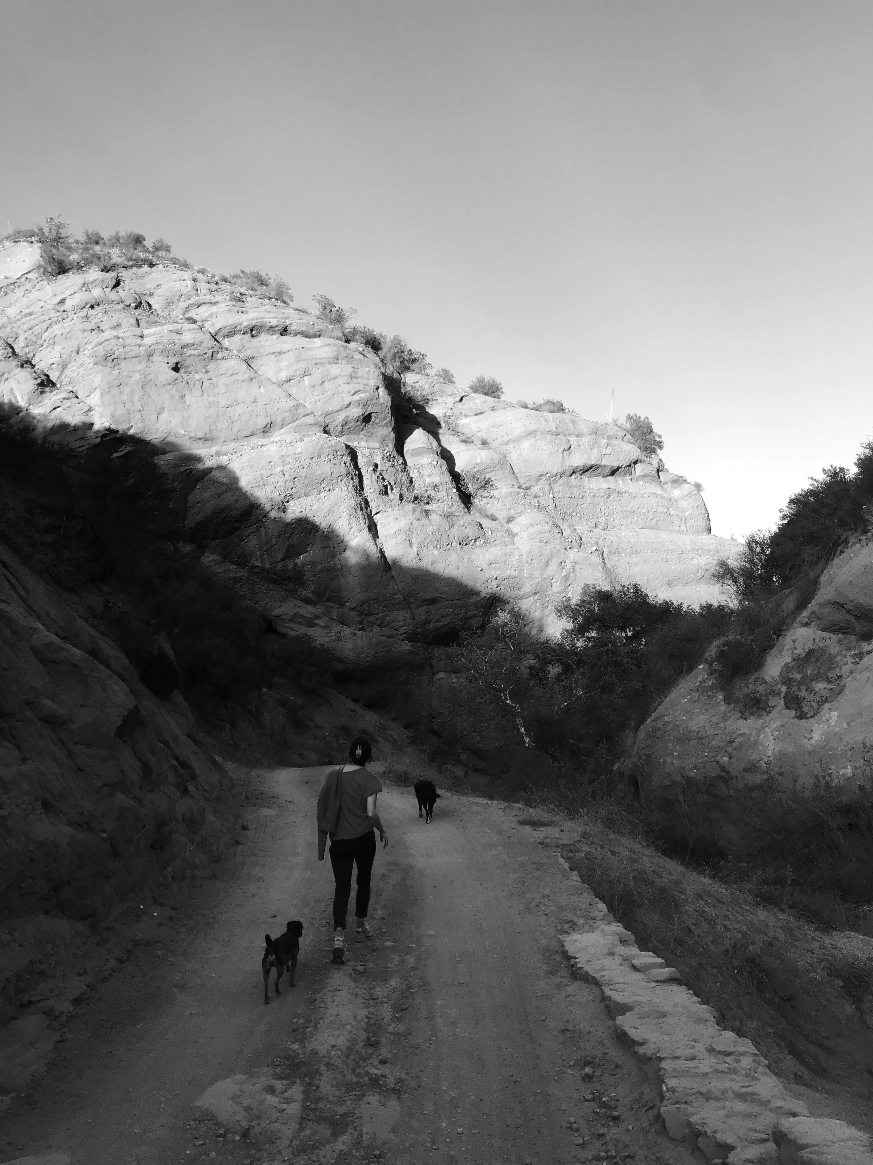 Image25 - Black & White