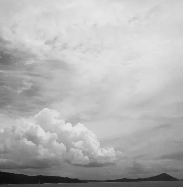 Image26 - Black & White