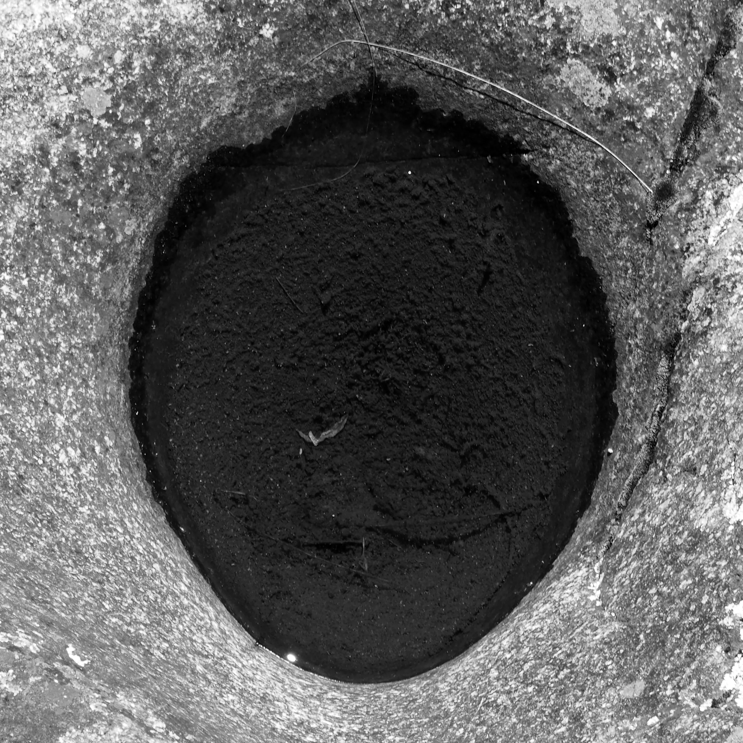 Image31 - Black & White