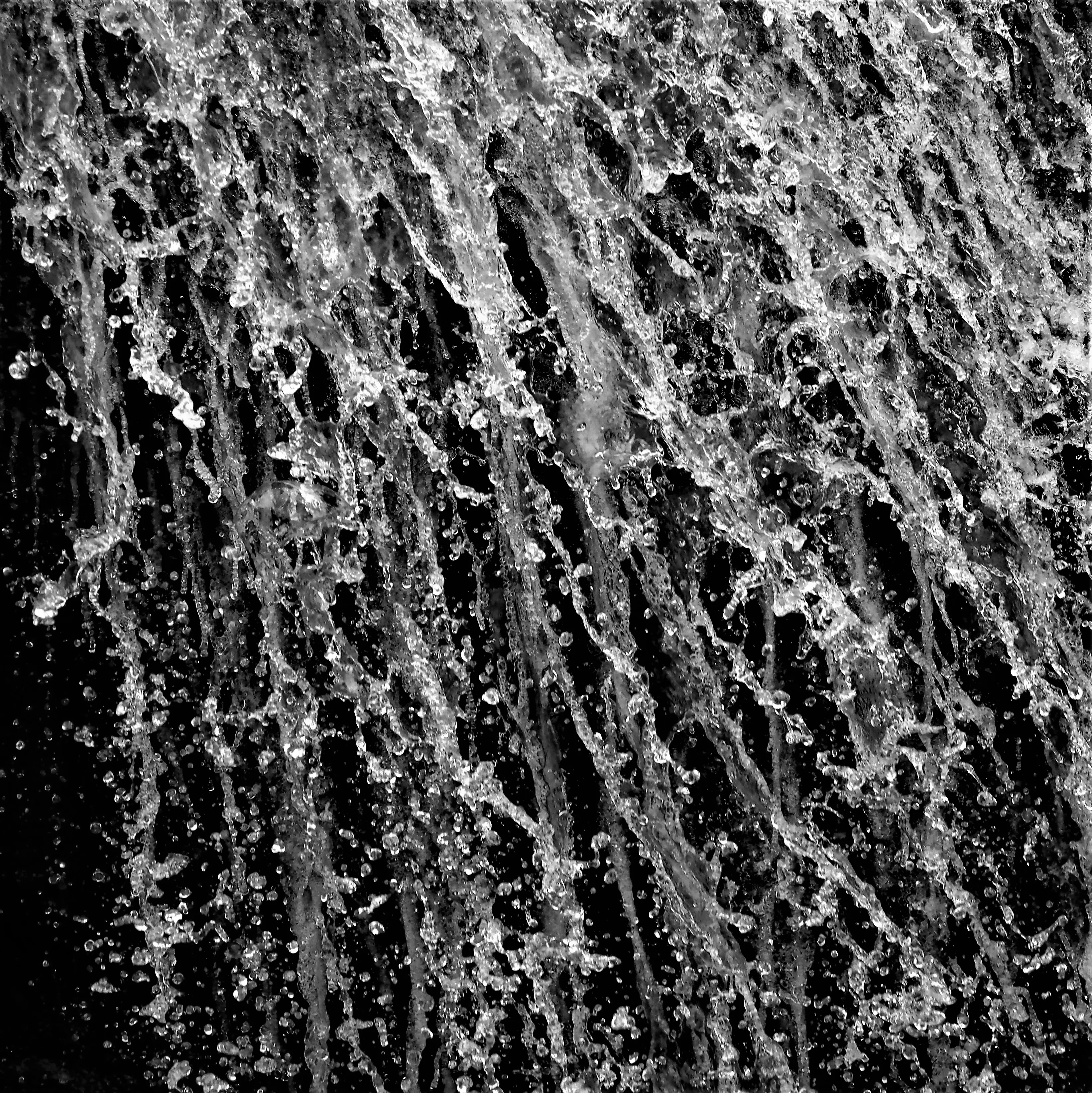 Image36 - Black & White
