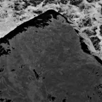 Image 42 - Black & White
