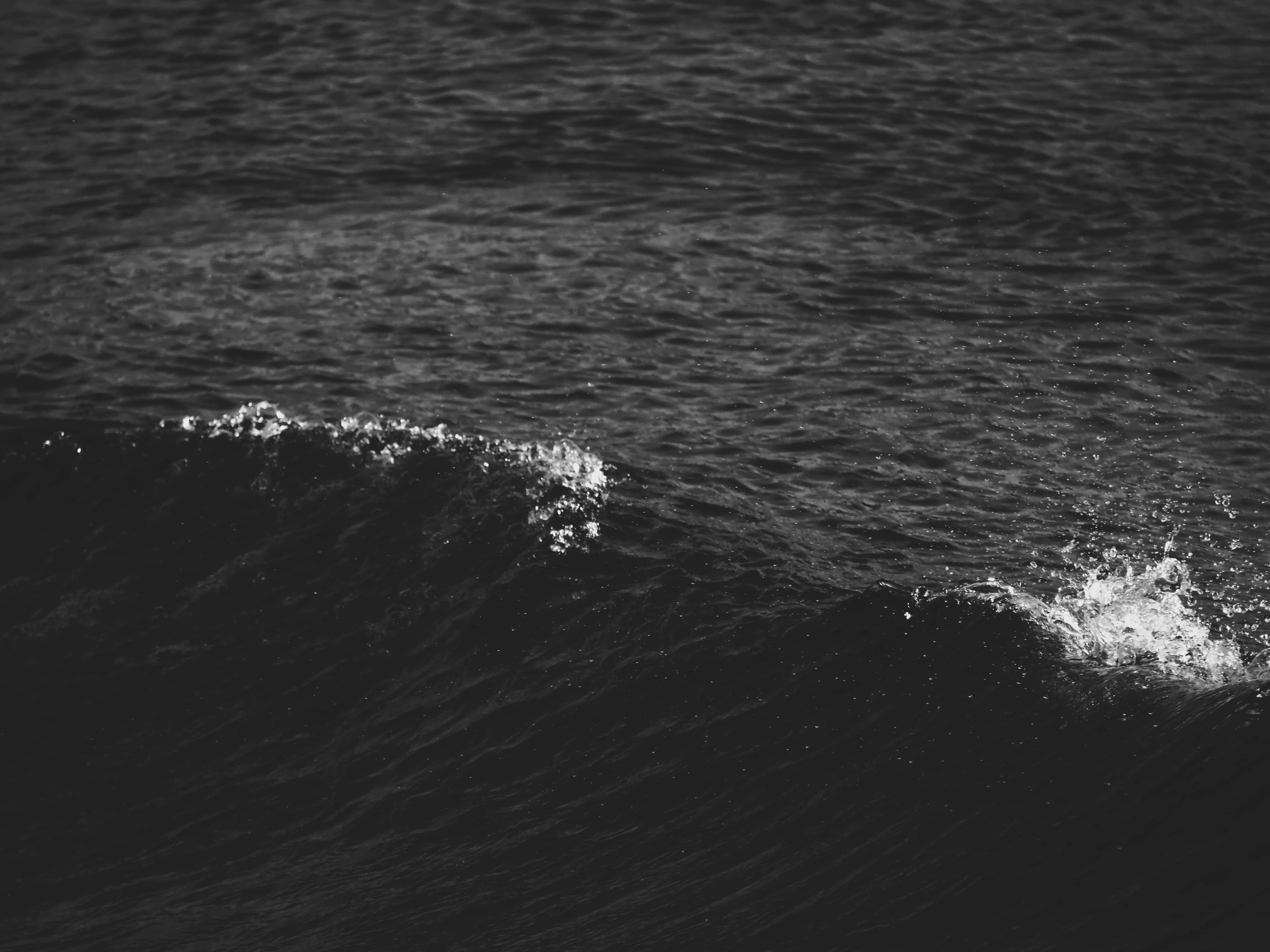 Image45 - Black & White