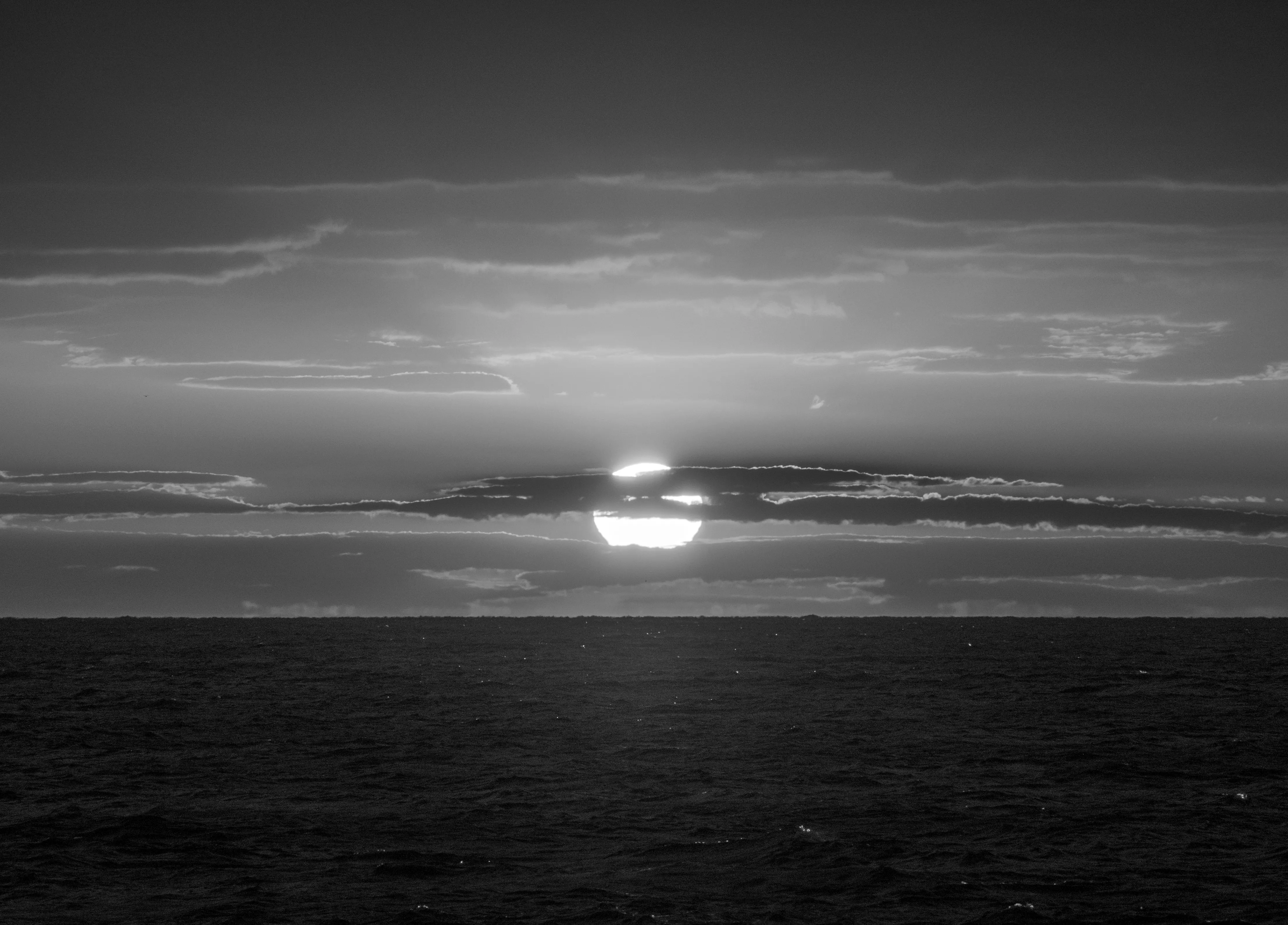 Image49 - Black & White