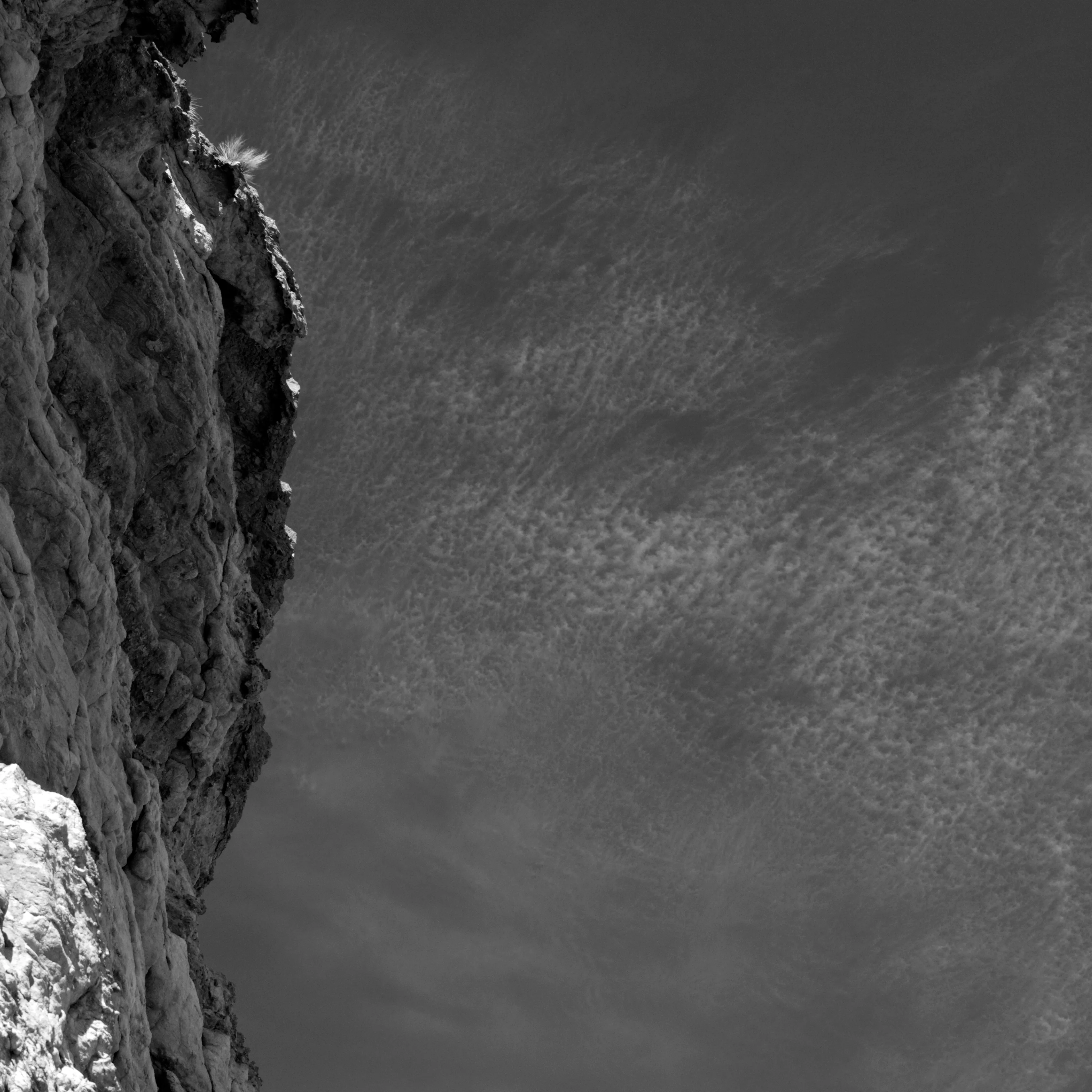 Image5 - Black & White