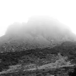 Image 50 - Black & White