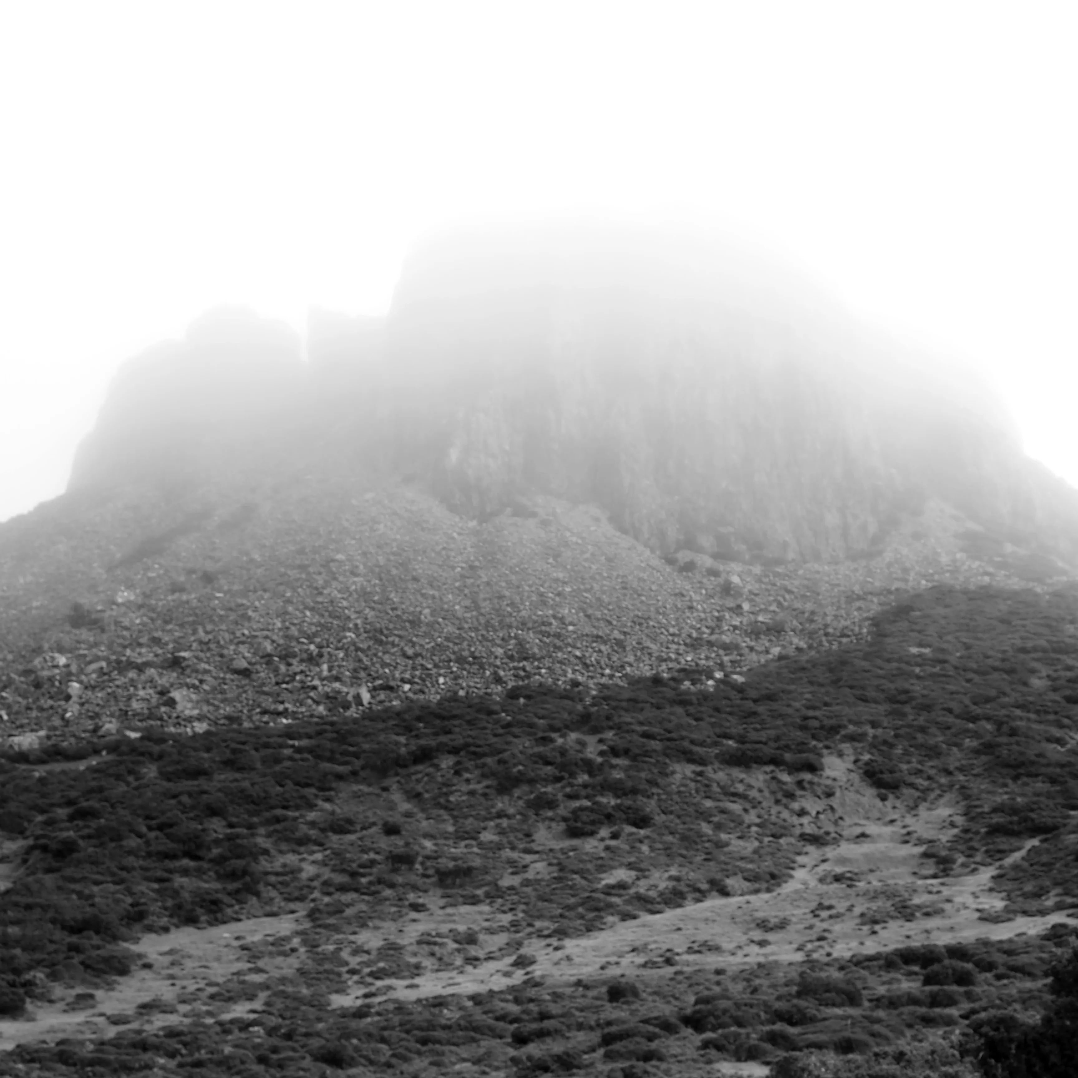 Image50 - Black & White