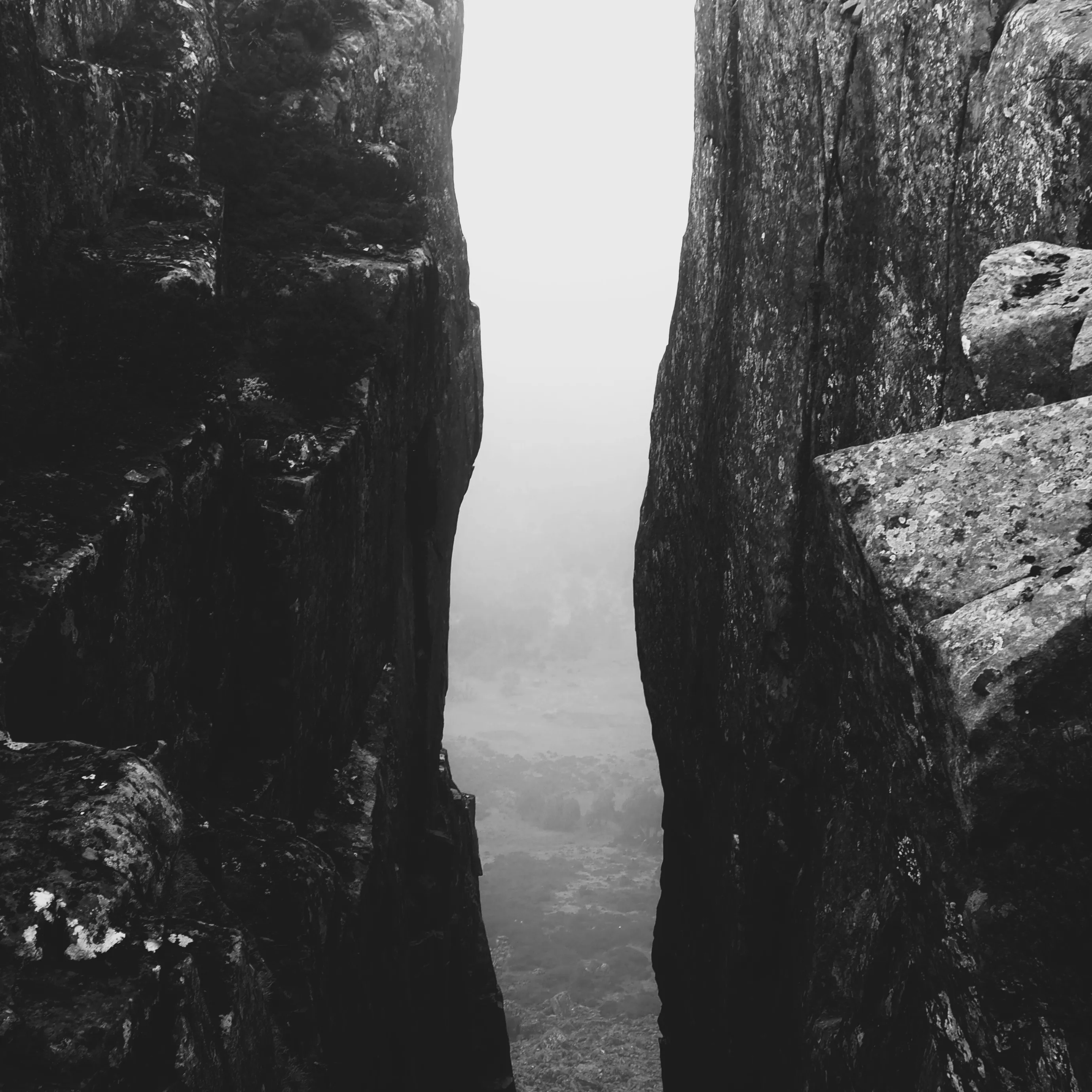 Image51 - Black & White