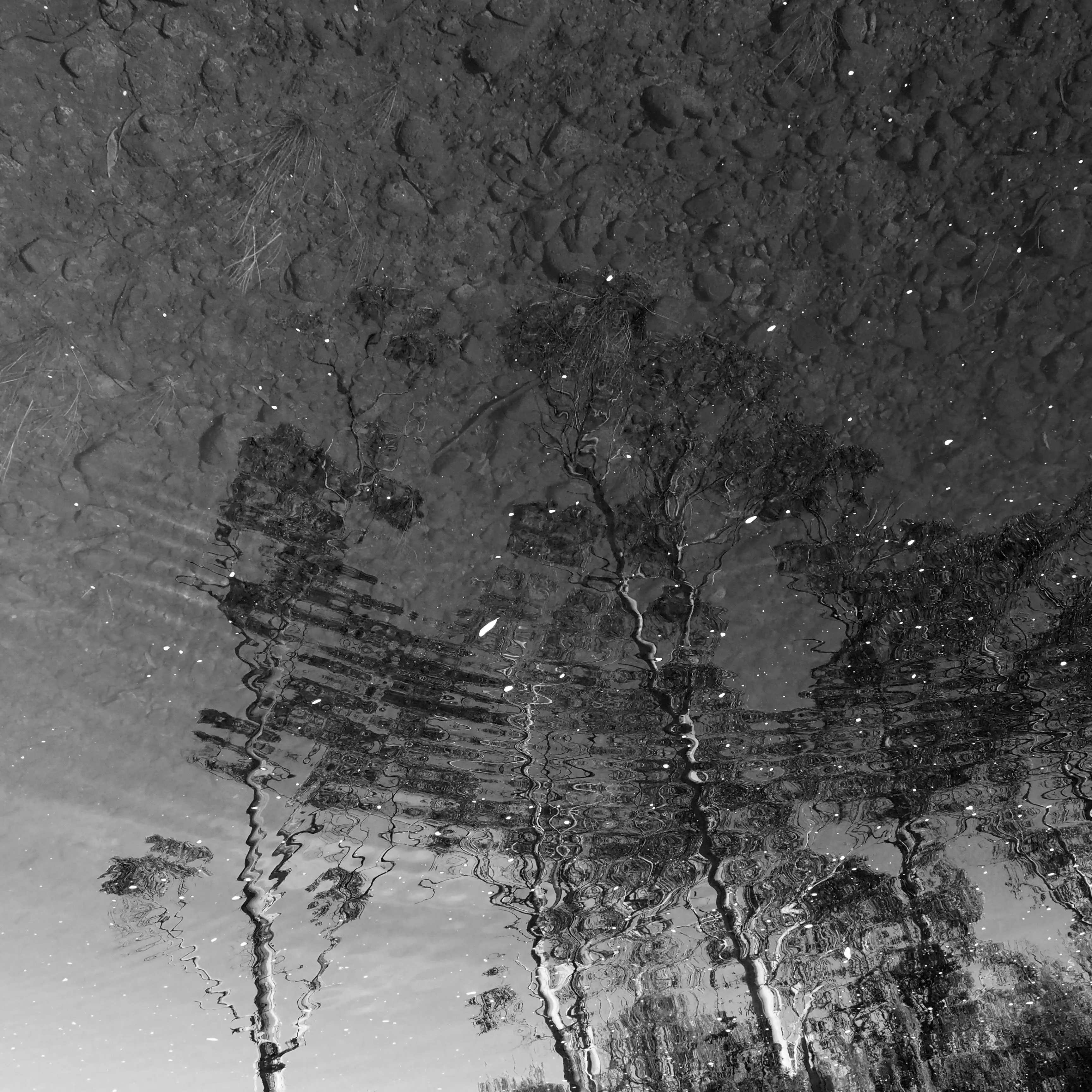 Image53 - Black & White
