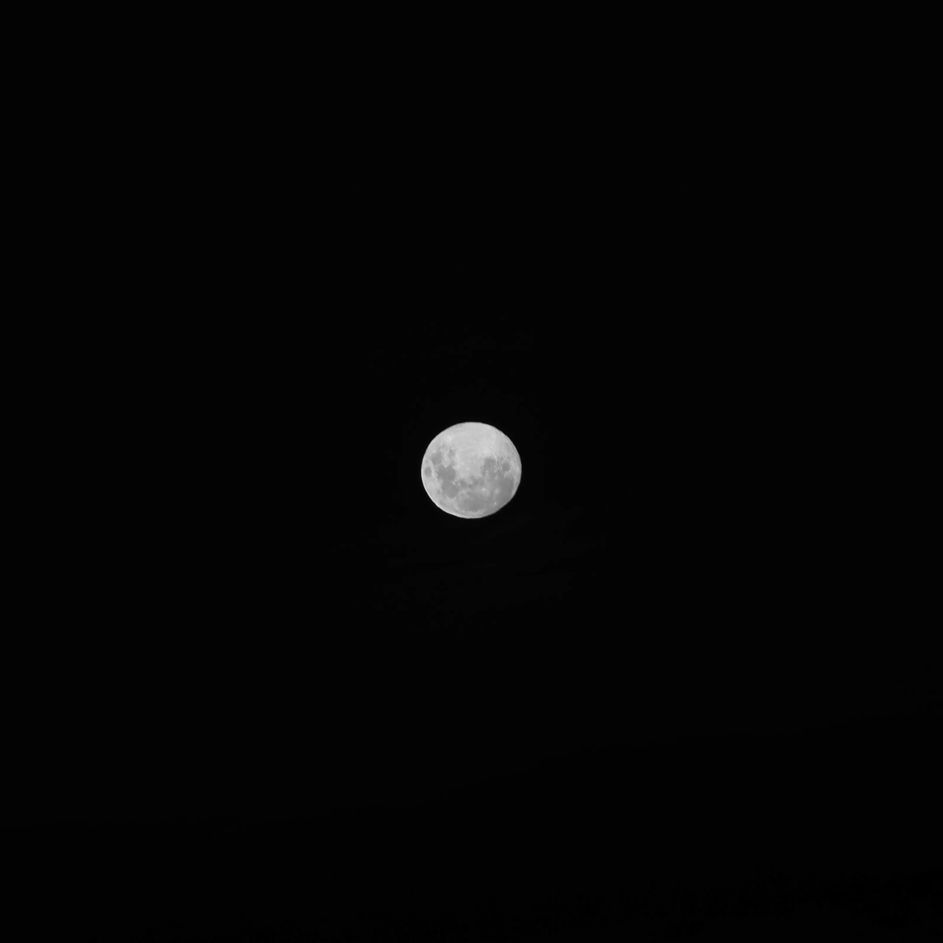 Image56 - Black & White