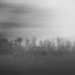 Image 58 - Black & White