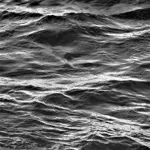 Image 59 - Black & White