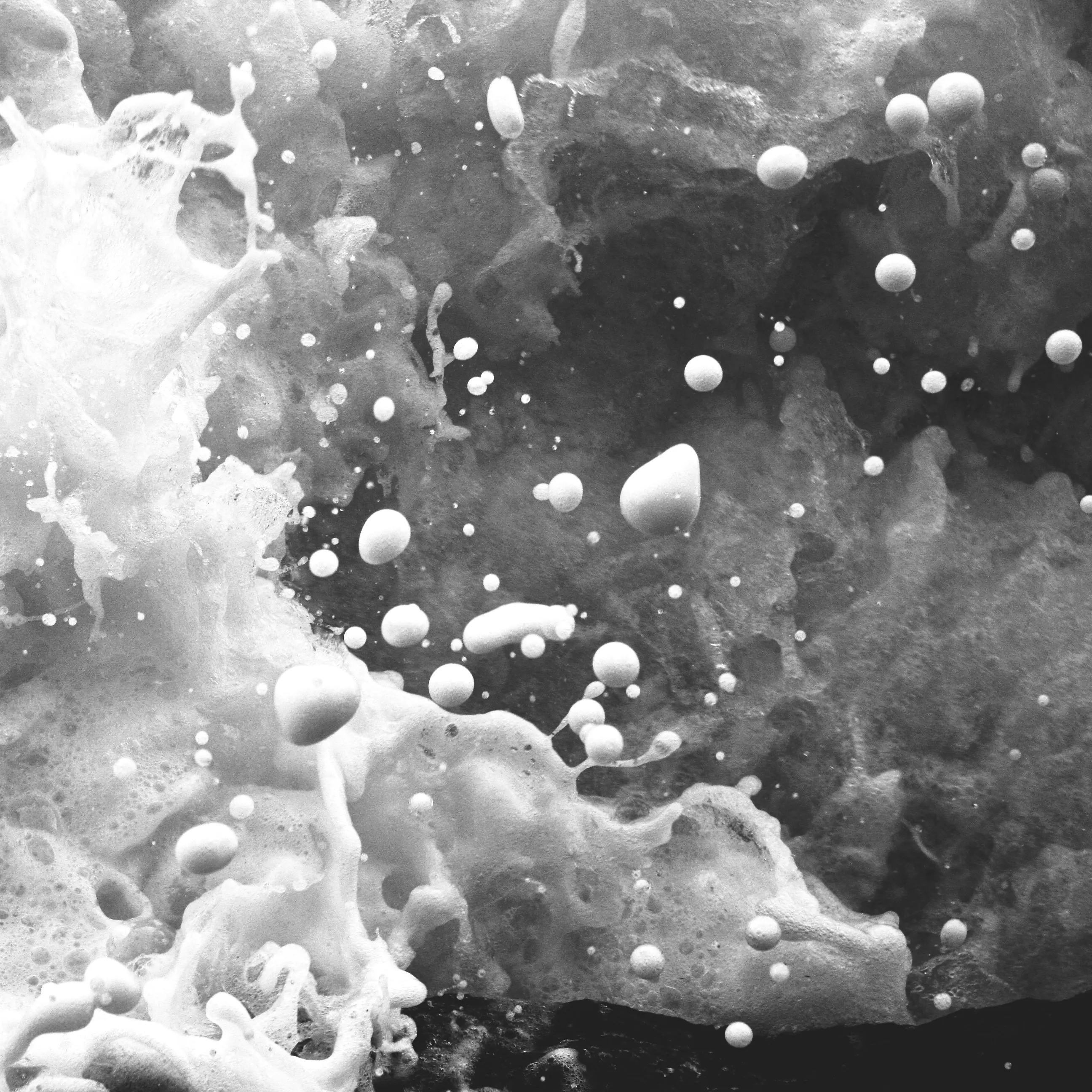 Image6 - Black & White