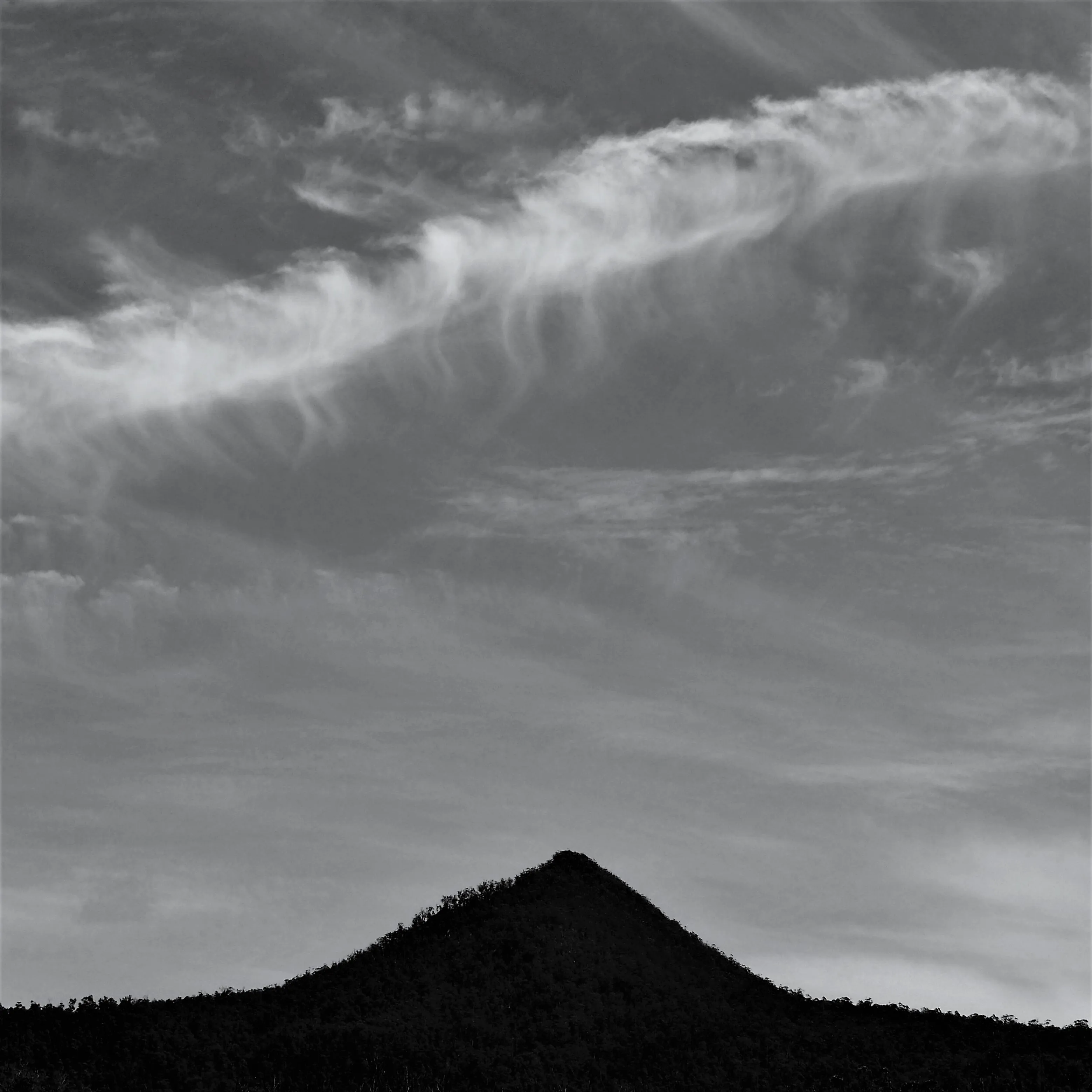 Image61 - Black & White