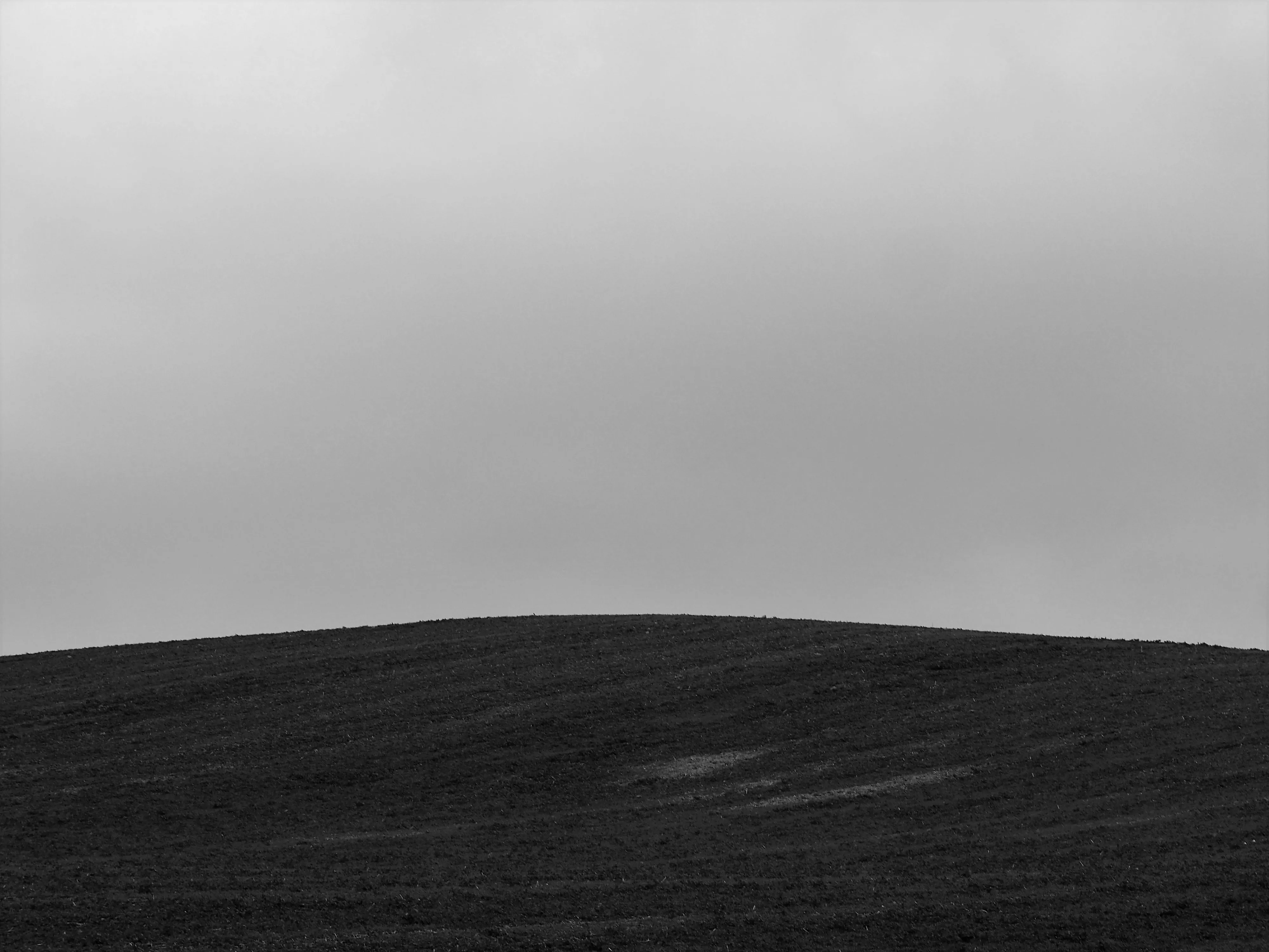 Image62 - Black & White