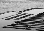 Image 63 - Black & White