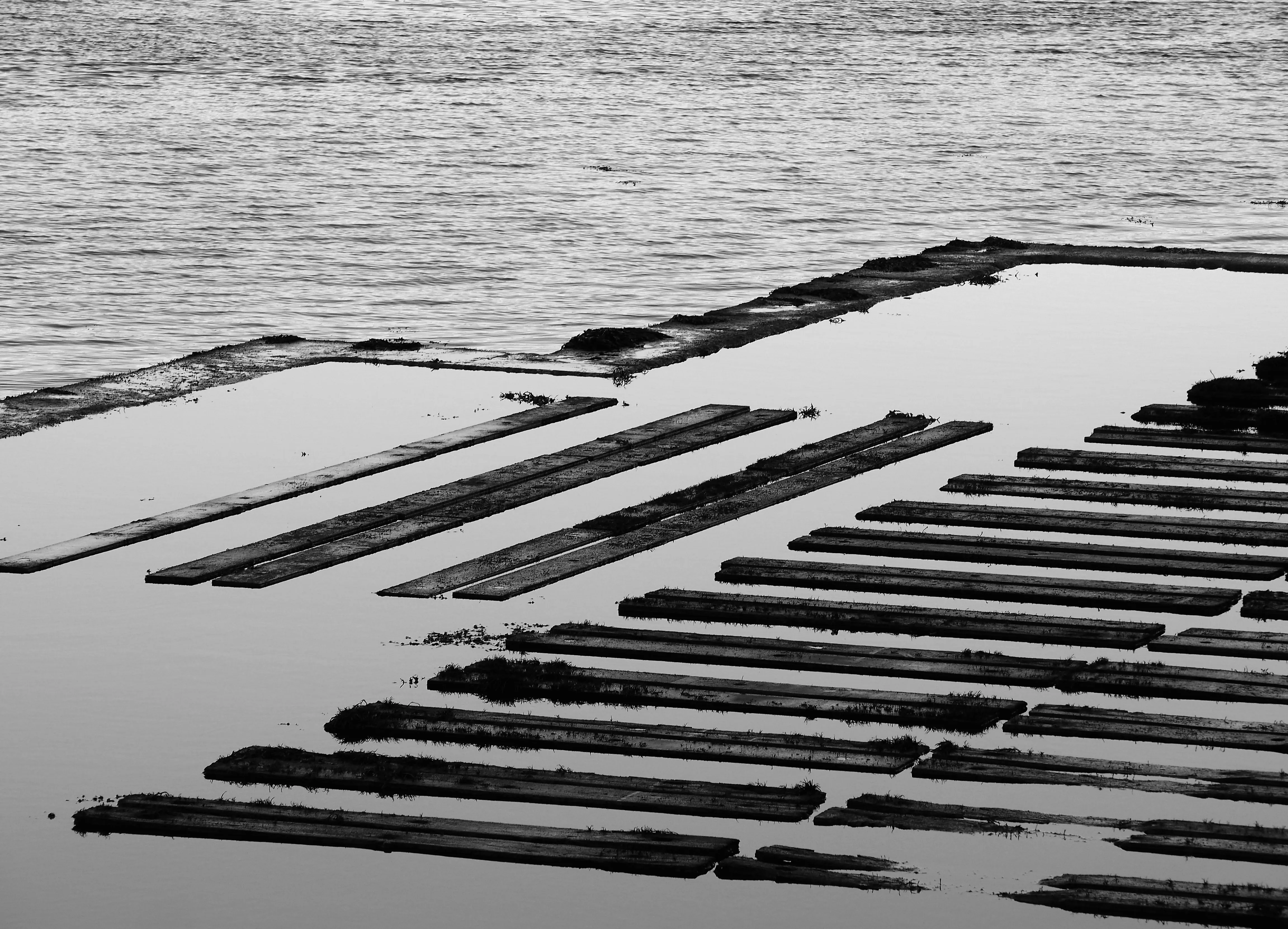 Image63 - Black & White