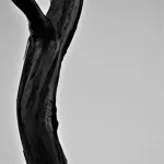 Image 65 - Black & White