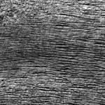 Image 67 - Black & White