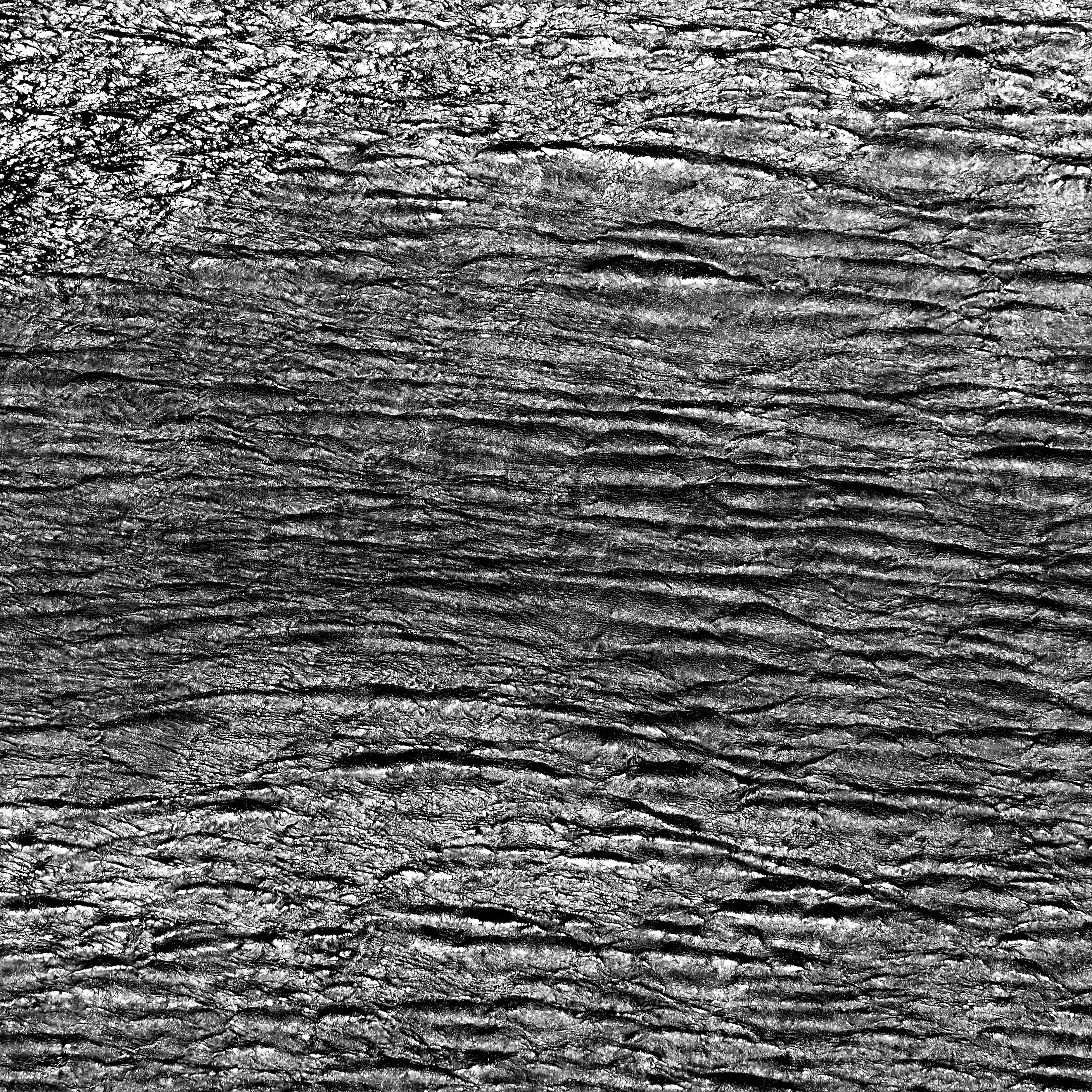 Image67 - Black & White