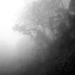 Image 7 - Black & White