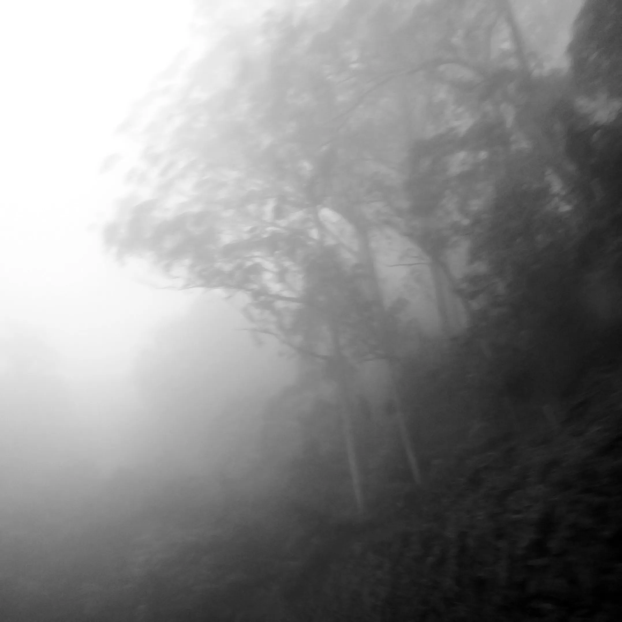 Image7 - Black & White