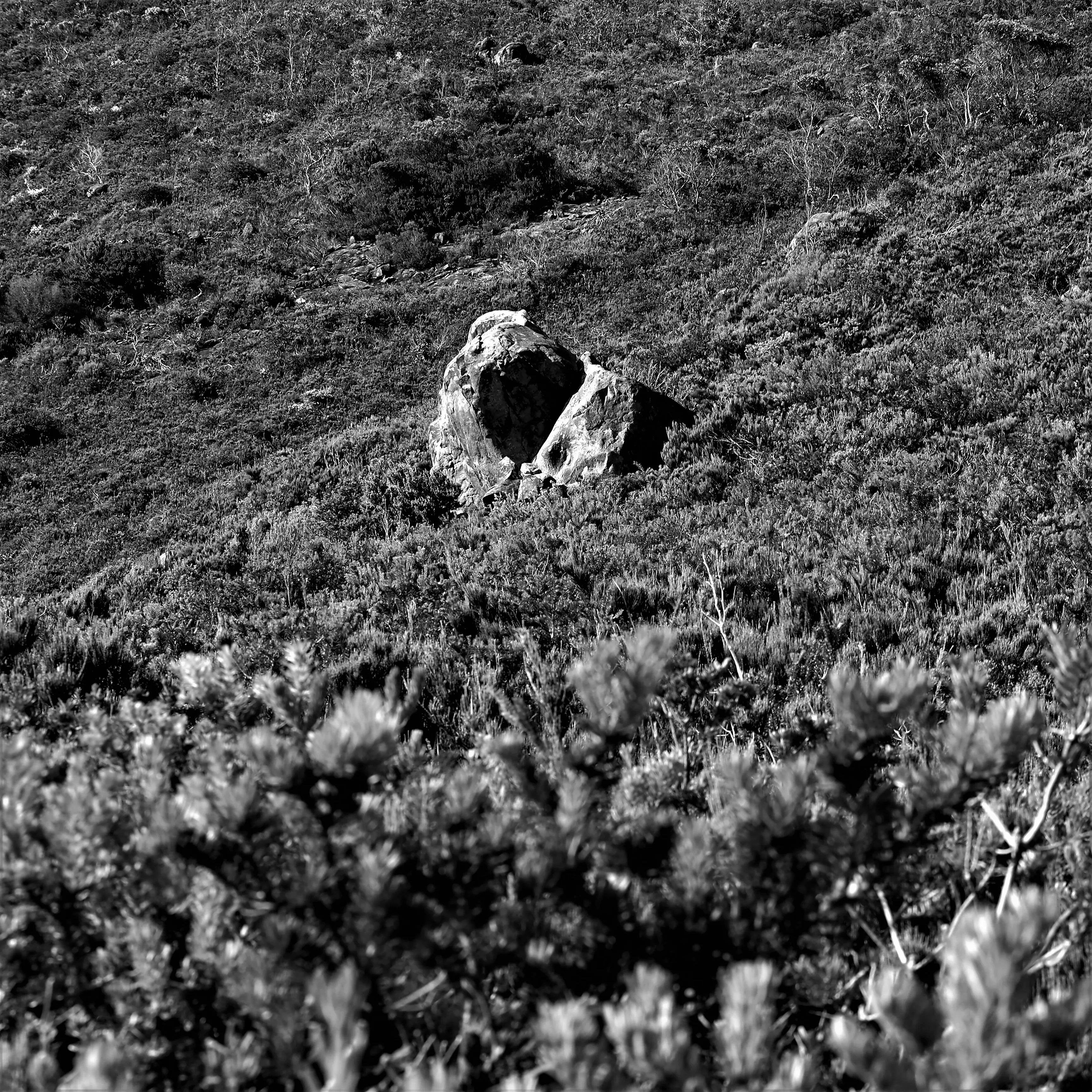 Image70 - Black & White