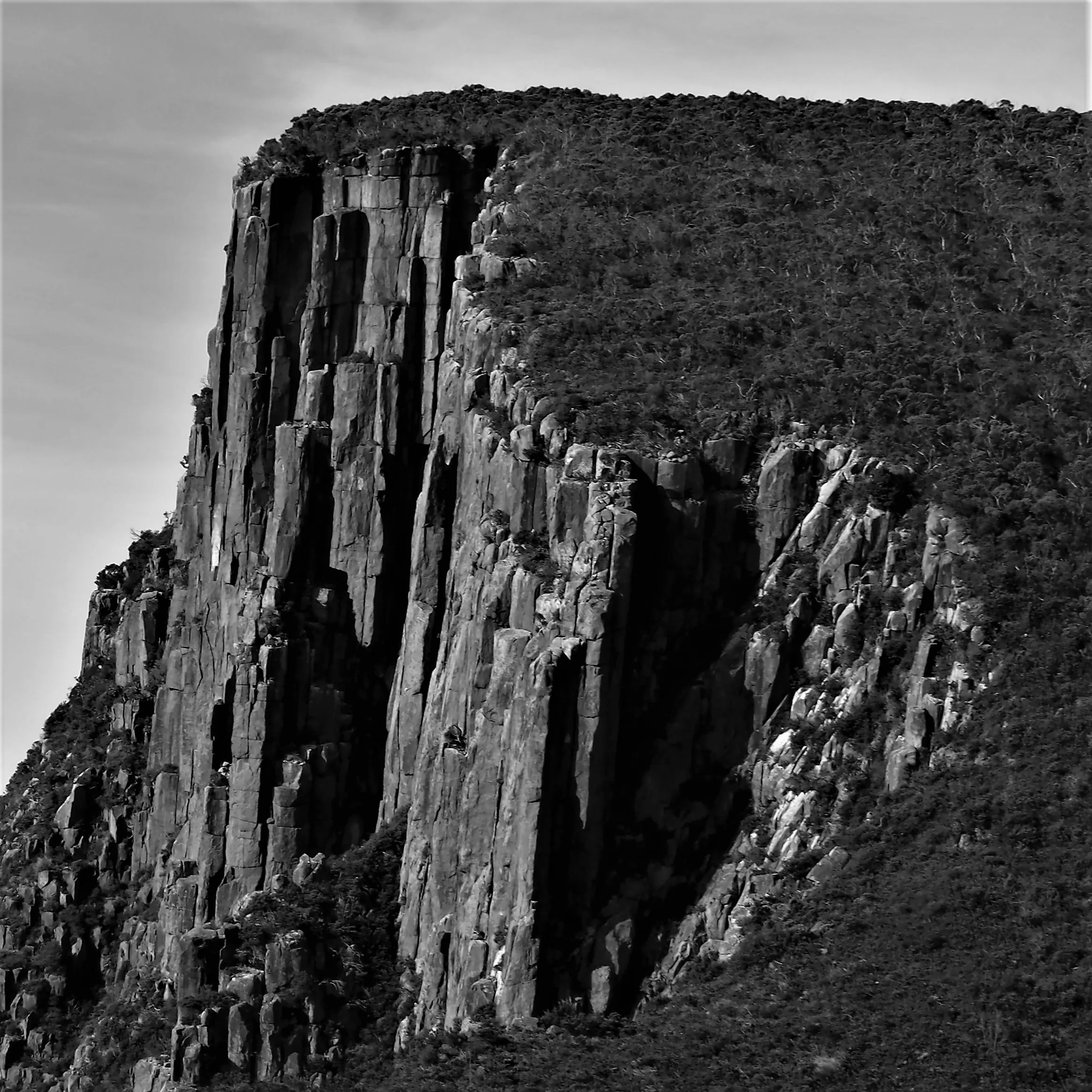 Image71 - Black & White