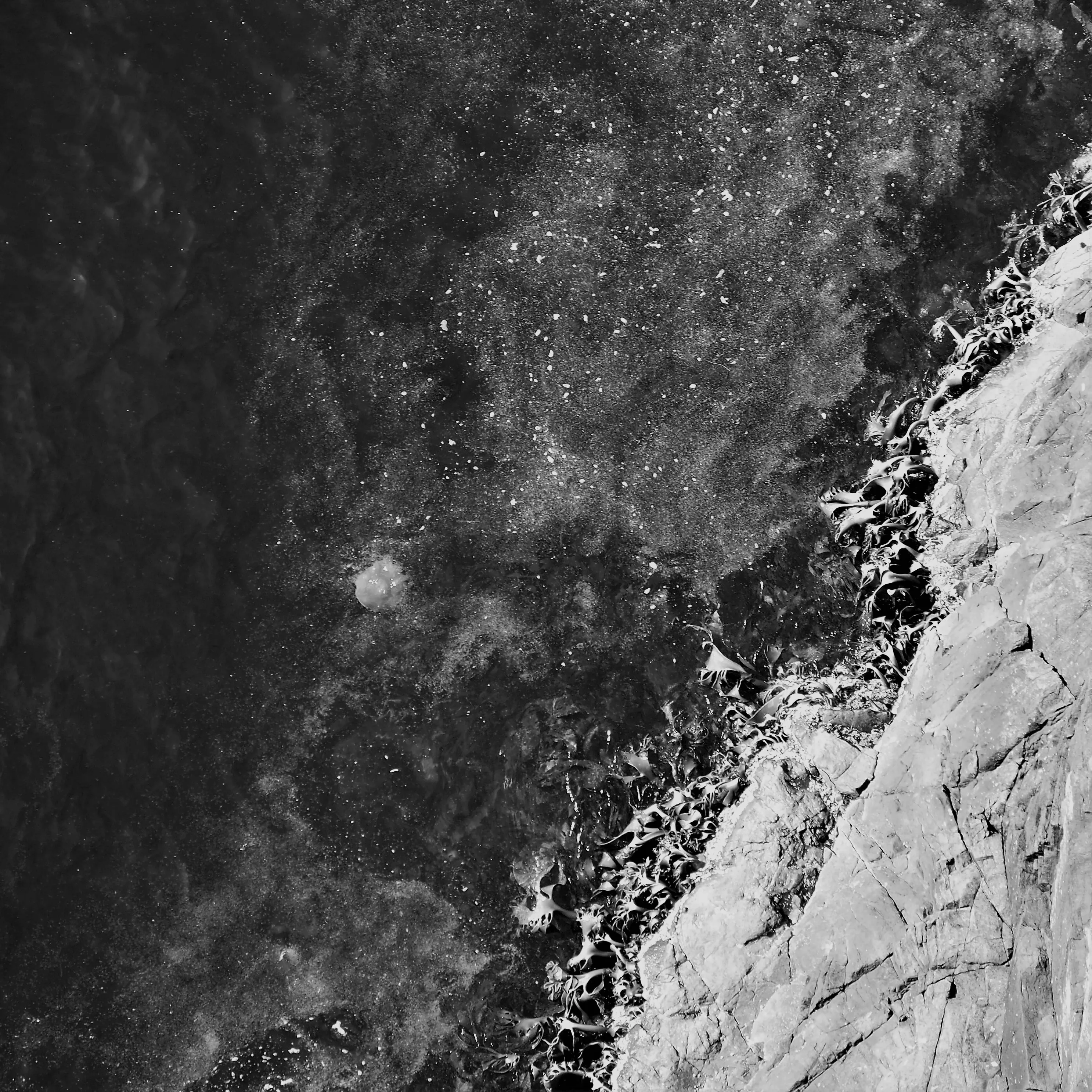 Image73 - Black & White