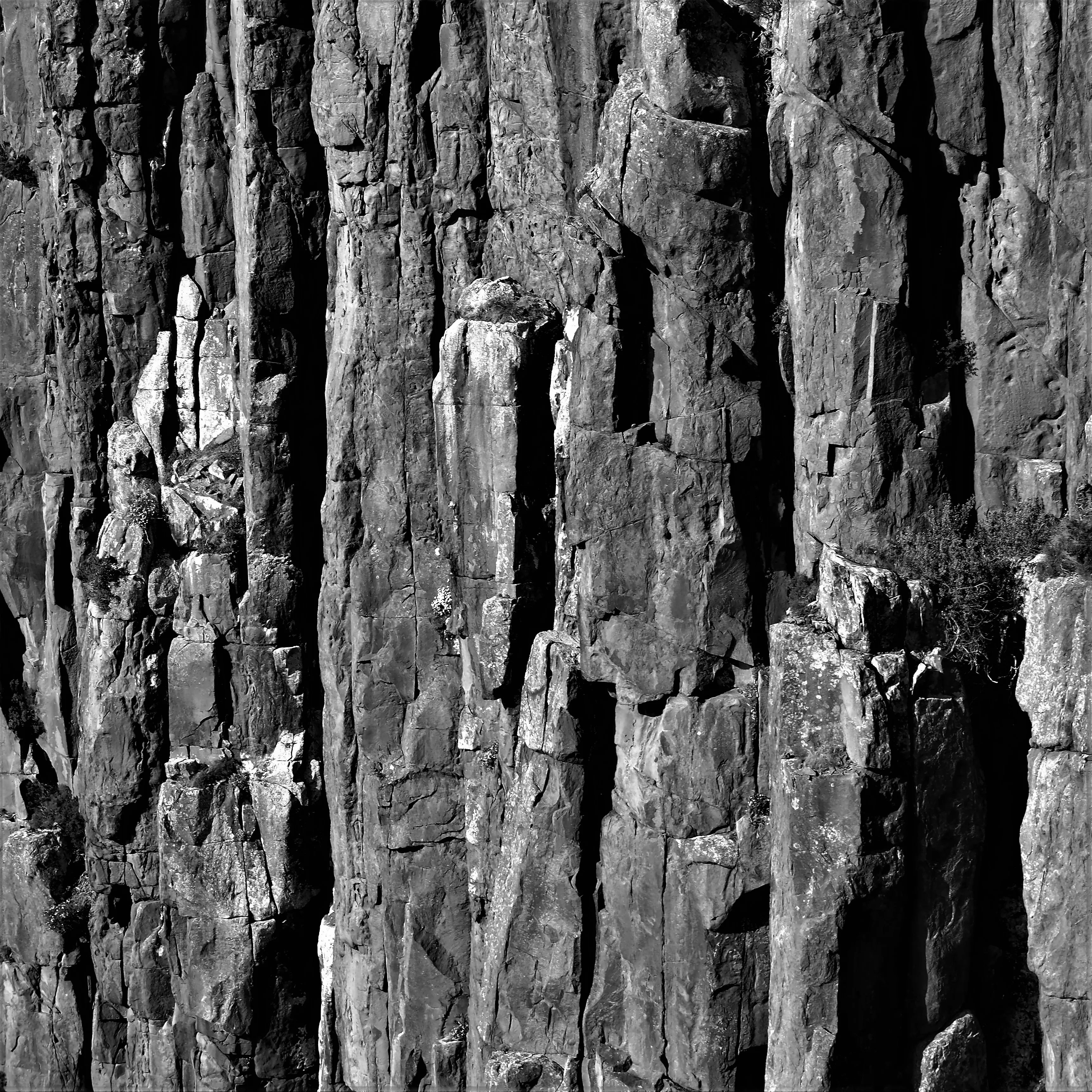 Image74 - Black & White