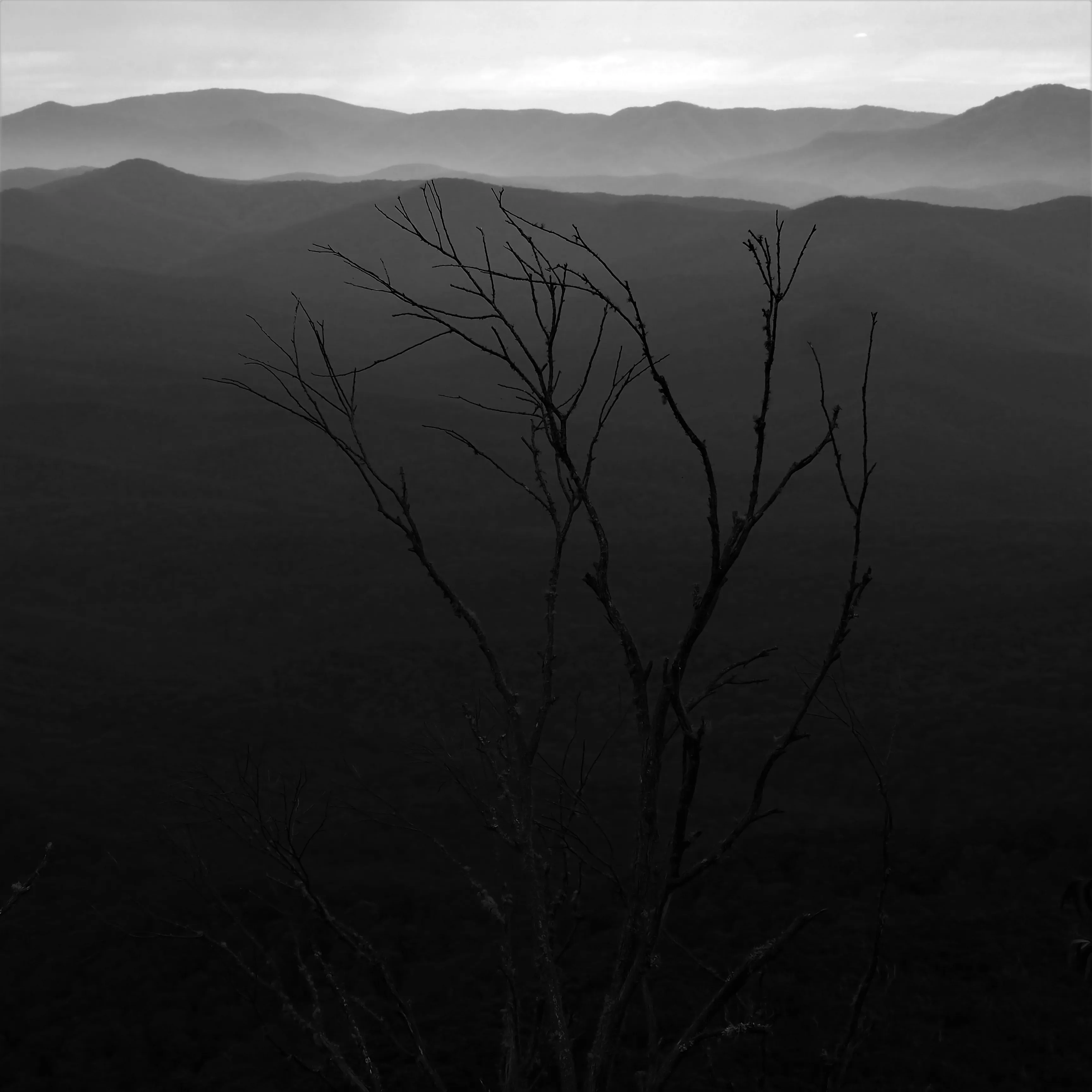 Image78 - Black & White
