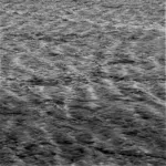 Image 79 - Black & White